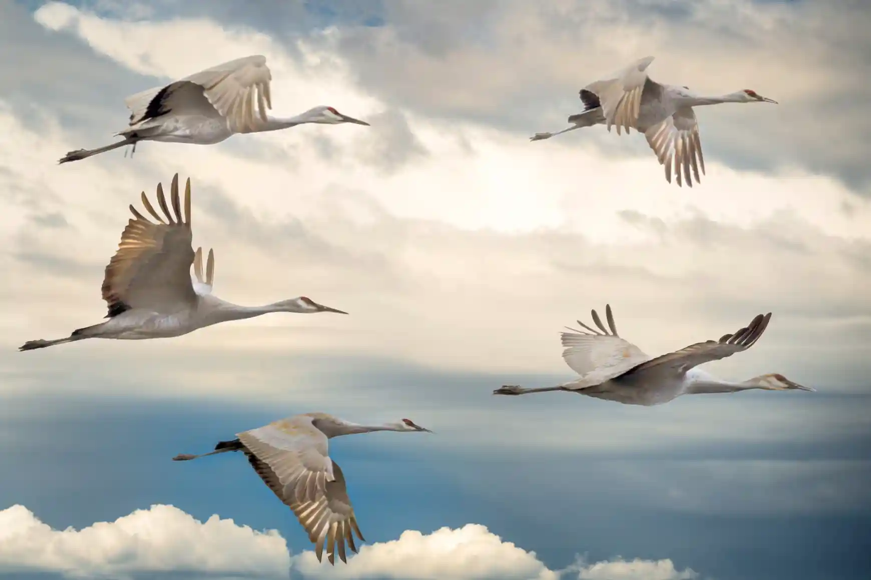 Migration and Deployment