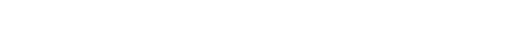 bullet (1).png