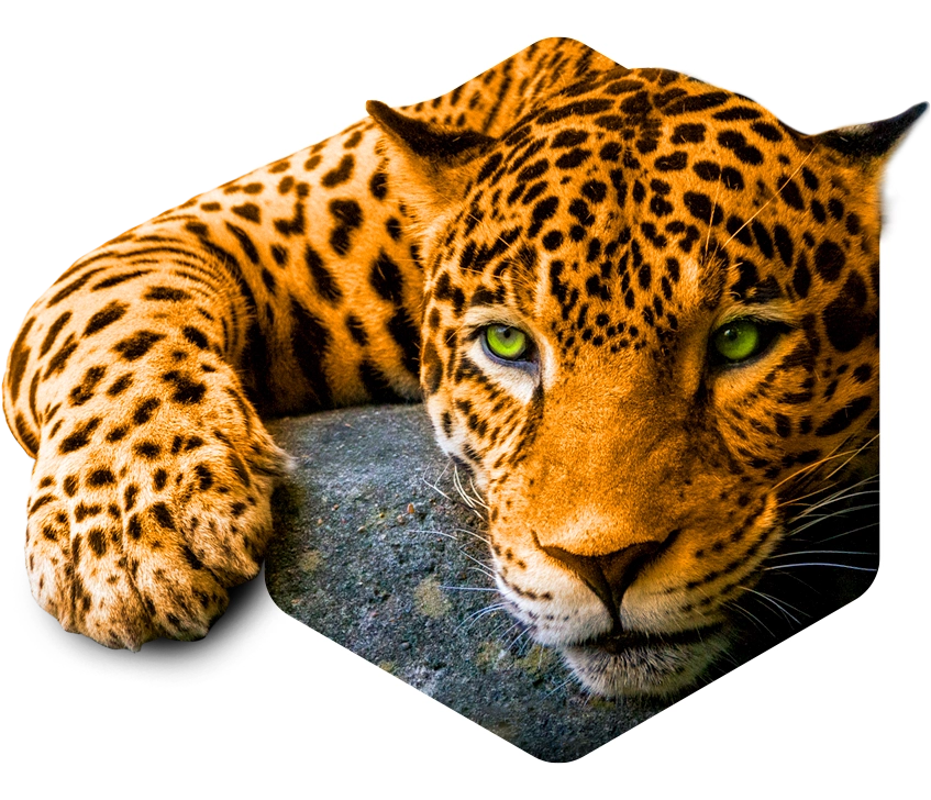 Aztec IT Solutions
