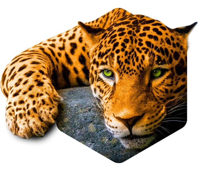 tiger-logo